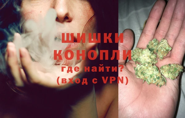 прущие грибы Абдулино