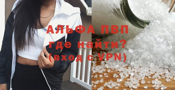 прущие грибы Абдулино
