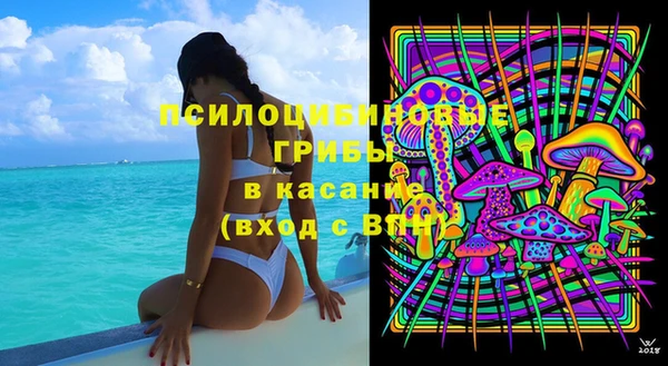 гидропоника Алзамай